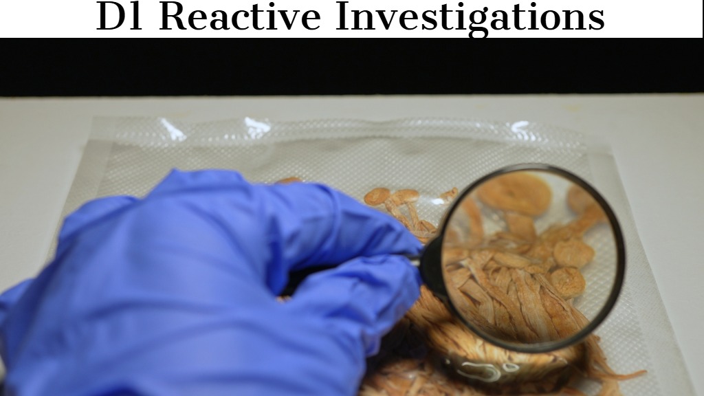 D1 Reactive Investigations